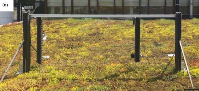 New approach to measure absorption of vegetated&nbsp;roofs
